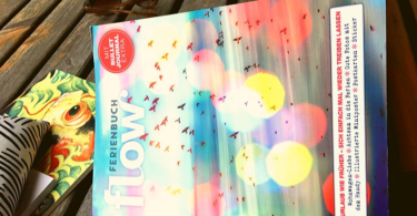 flow_Ferienbuch_Band_6_Cover